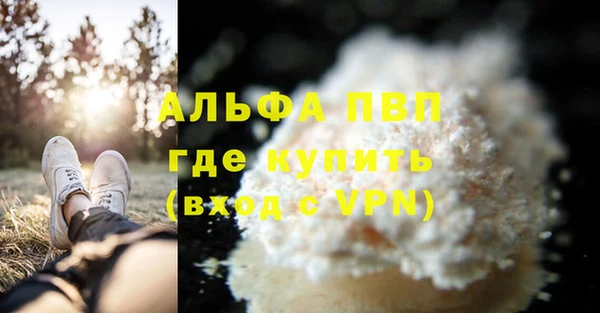 твердый Майский