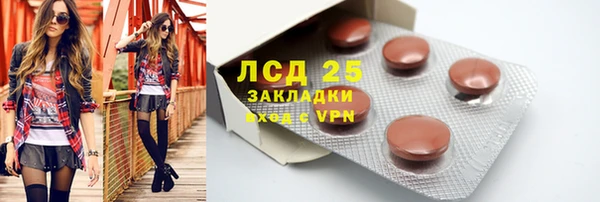 твердый Майский