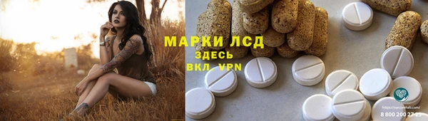 твердый Майский