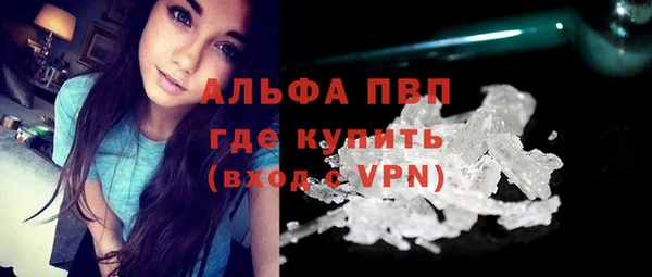 твердый Майский