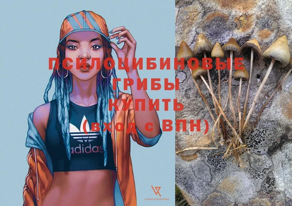 ALPHA PVP Магадан