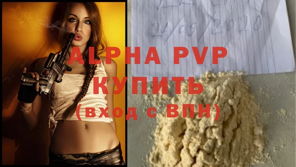 твердый Майский